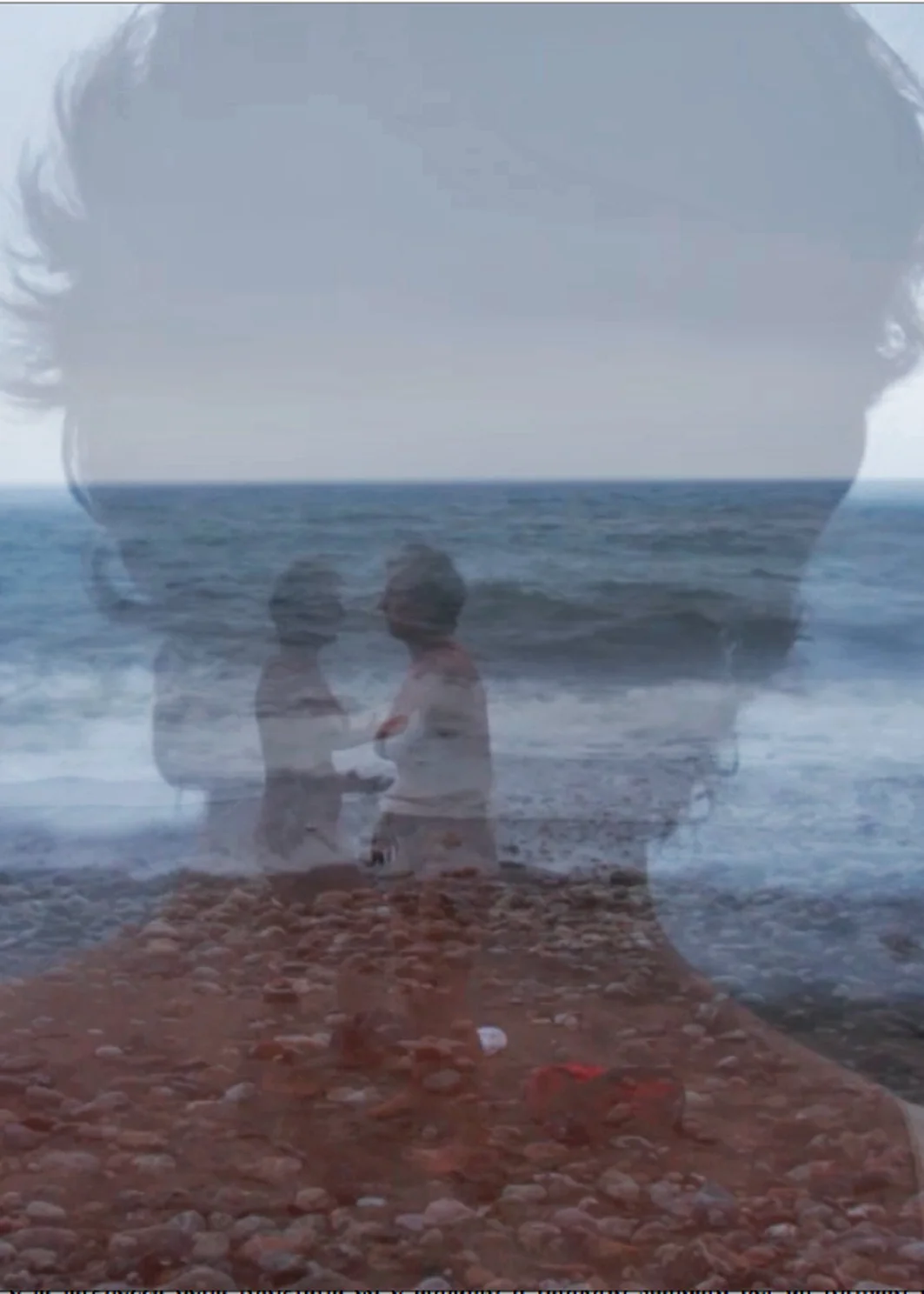 La viscontessa dimezzata